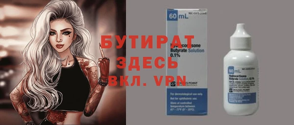 твердый Новодвинск