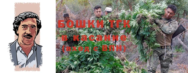 твердый Новодвинск