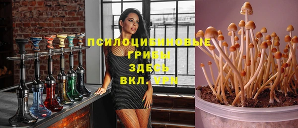 твердый Новодвинск