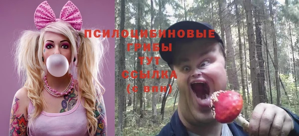 соль ск Болохово