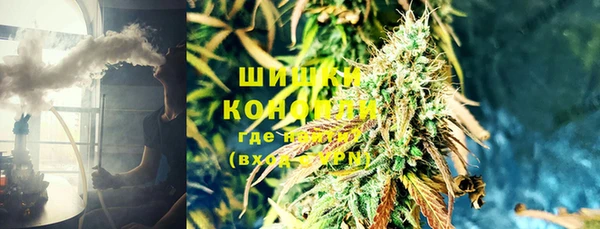 соль курить ск Болотное