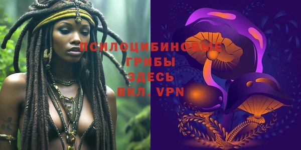 марихуана Новозыбков
