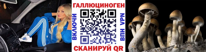 гидра ссылка darknet клад Галлюциногенные грибы Psilocybine cubensis Струнино